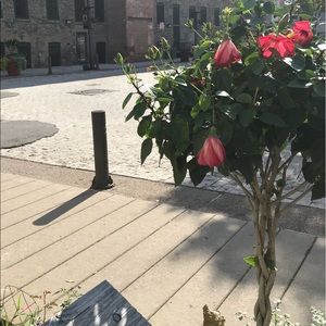 Meet your Posher, Ava